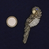 بروش مغناطيسي ببغاء حجارة معدن ذهبي 54×17mm+