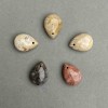 قلادة مرجان متحجر على شكل قطرة، الأبعاد 20x14mm+